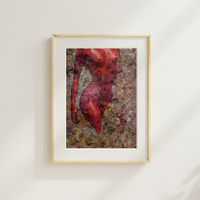 Rebirth(Matted Fine Art Prints)